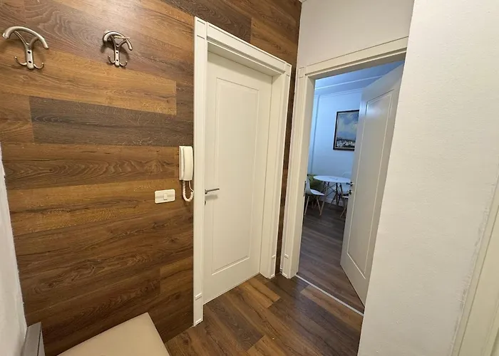 Central Apartment Tirana 公寓 *