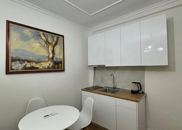 Central Apartment Tirana 公寓